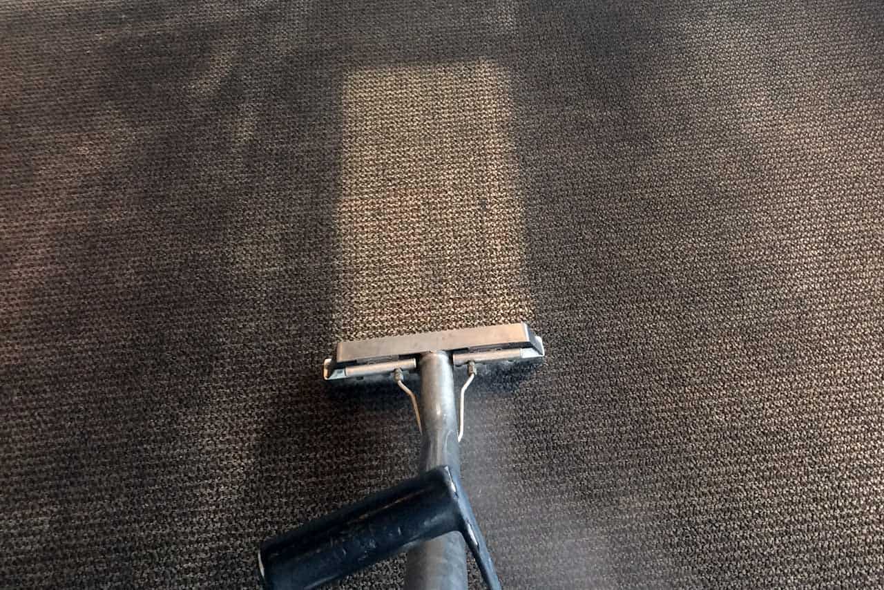 Carpet Cleaning by Aquamist