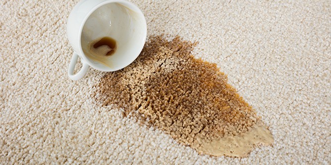 Revive Your Carpets with Professional Carpet Cleaning Services